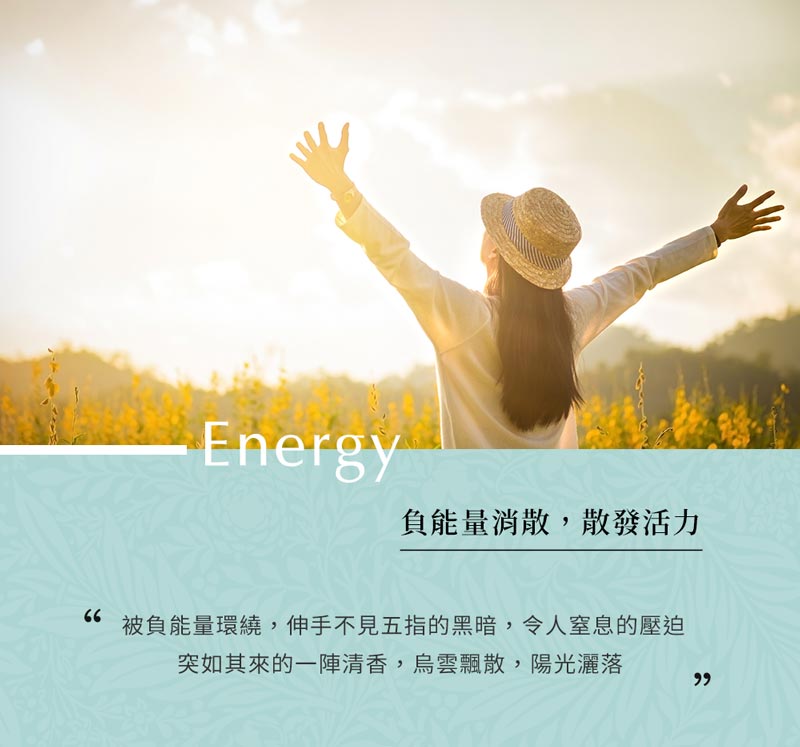 13.Energy EOB 1