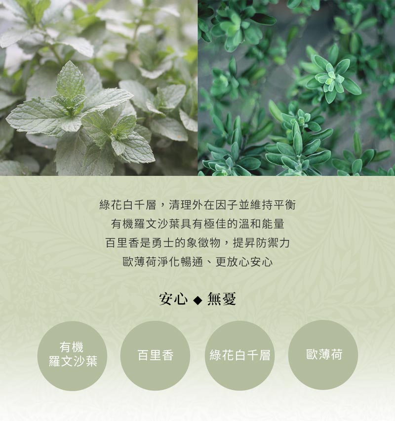 12.Immune Boost EOB 2