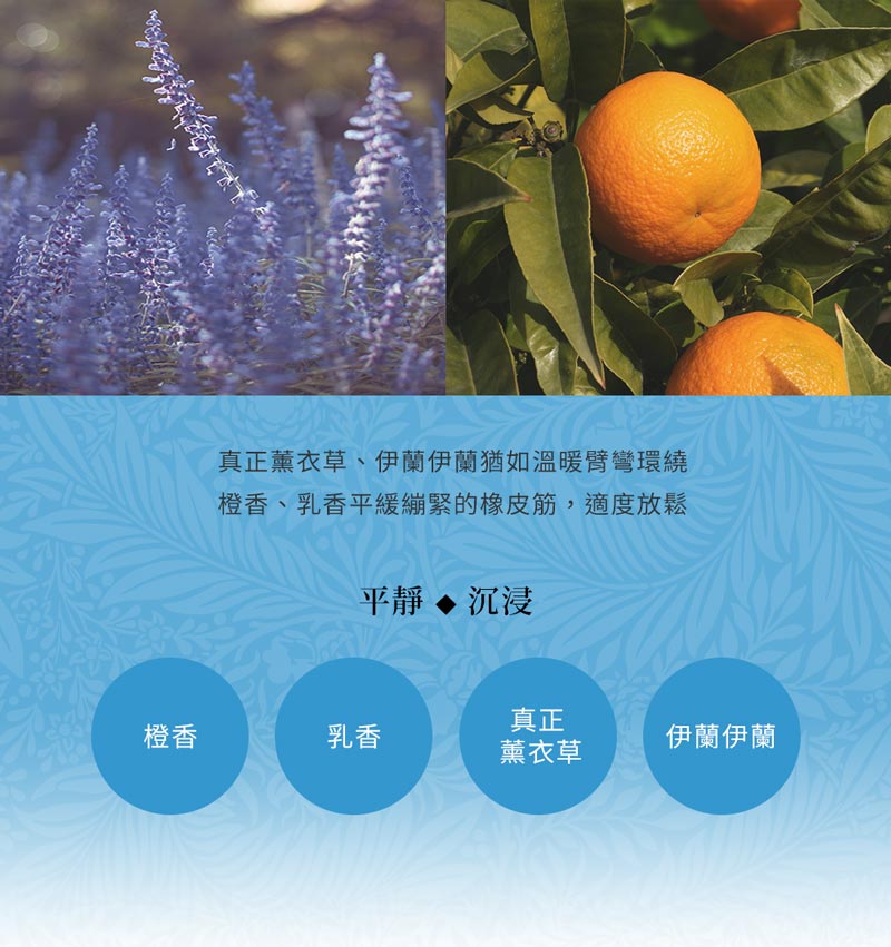 2.Calming EOB 2
