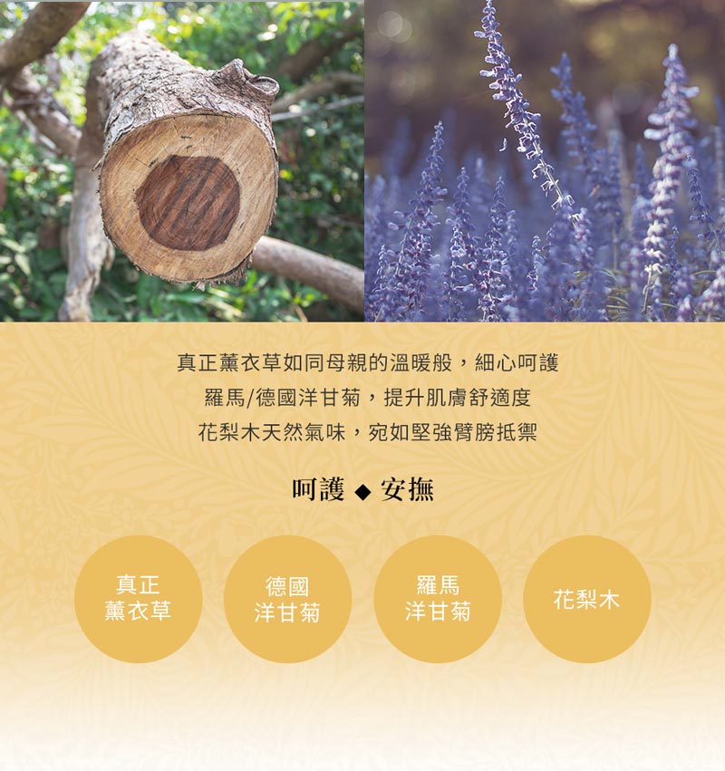 21.Child Skin Care EOB 2