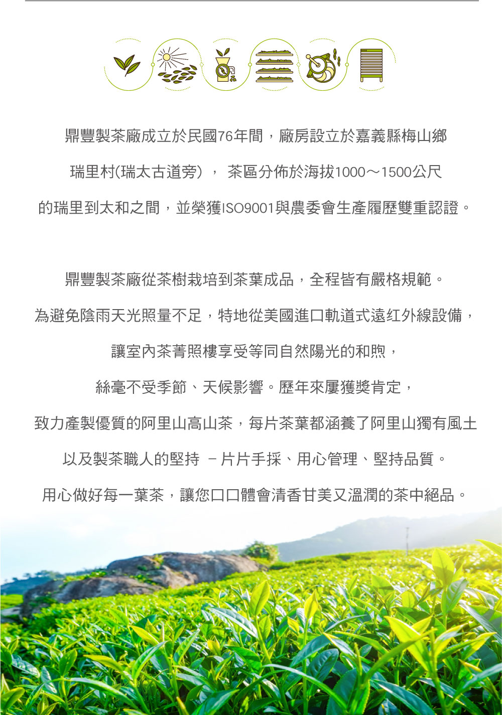 玩HAO物,鼎豐製茶廠