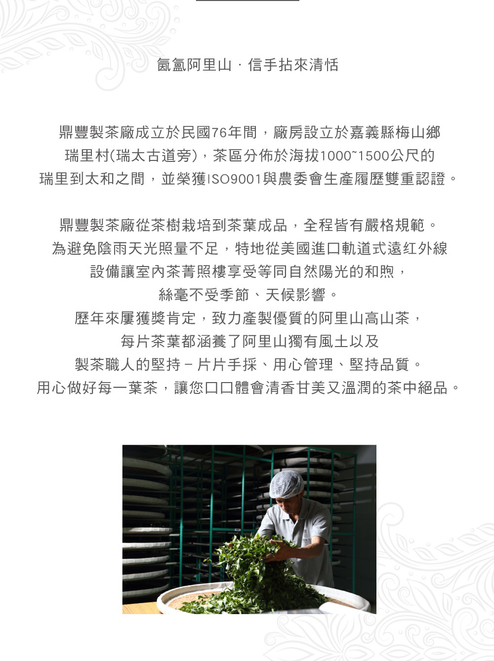 玩好物,玩HAO物,鼎豐製茶廠