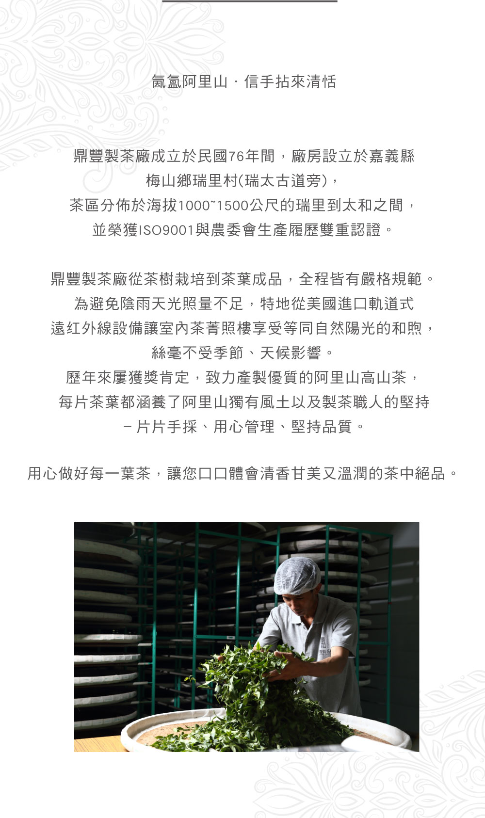 阿里山老茶,鼎豐製茶廠