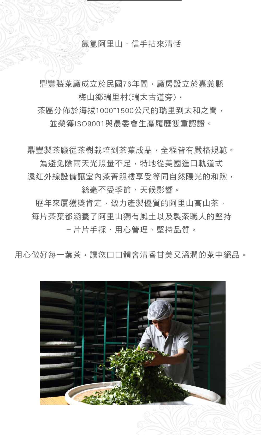 鼎豐製茶廠,老茶,職人