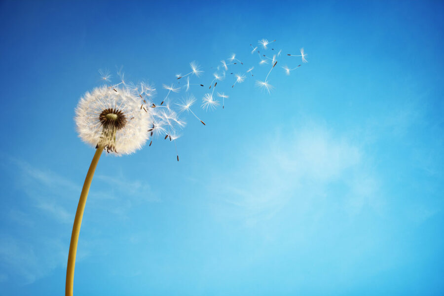 正向生活學 3 iStock 488830487 1
